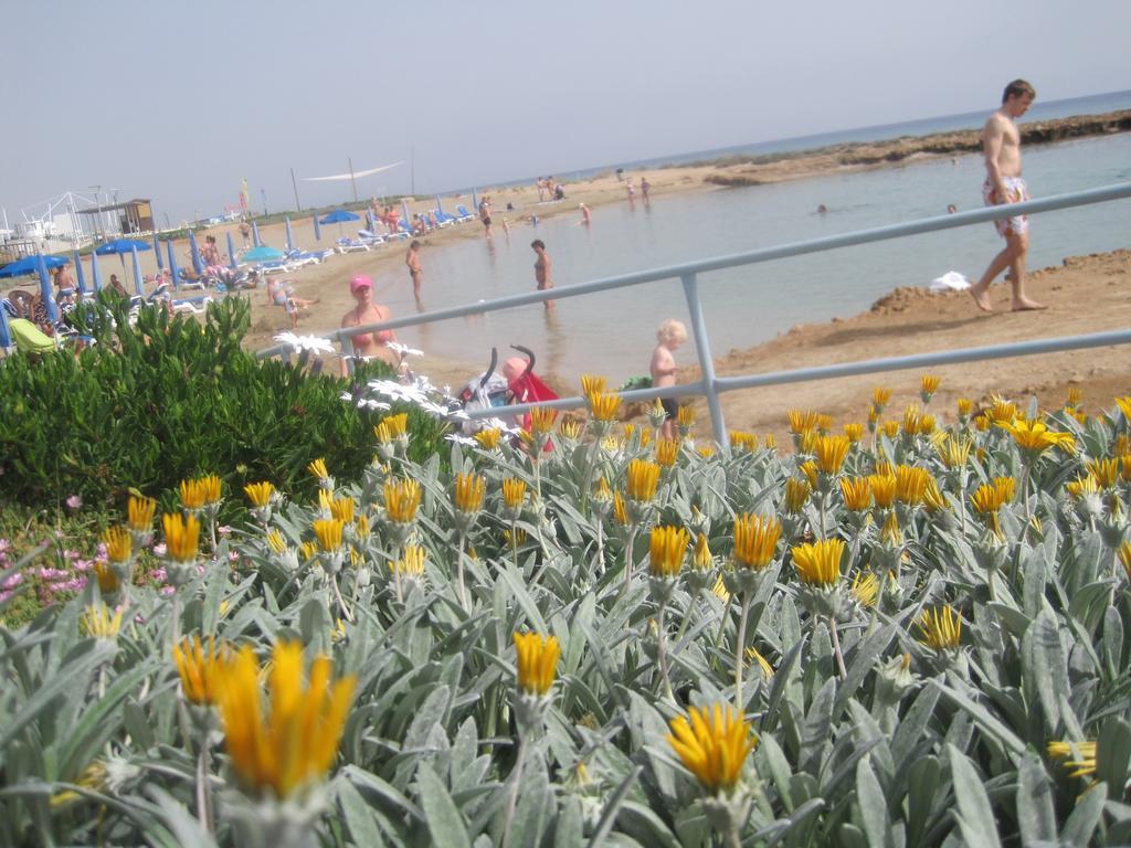 Polyxenia Isaak Luxury Villas And Apartments Protaras Dış mekan fotoğraf